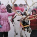 Фотография "...На оленях утром ранним мы отчаянно ворвемся прямо в снежную зарю..."