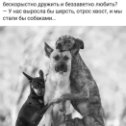 Фотография от Вольдемар Фонтанный