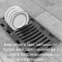 Фотография от Қ О Р А Ш А Х З О Д А