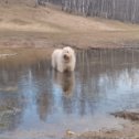 Фотография от ольга герасимова