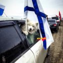 Фотография "Всех с праздником..
С Днём Победы!!!! "