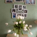 Фотография "Доставка тюльпанов из Воронежа в день рождения, спасибо, сынок"