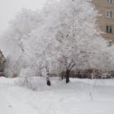Фотография "В январе,в январе все деревья в серебре!!!"