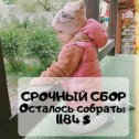 Фотография от Светлана Столярова