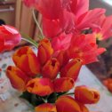 Фотография "Любимые тюльпаны на ДР"