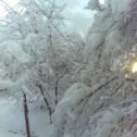 Фотография "Зима в Майкопе 04.12.2019"