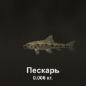 Фотография "https://ok.ru/game/trophyfishing2?187257 Пескарь, Карповые, 0.006kg, Волга, База Волга, TF-500, Хлеб.  #Пескарь #Карповые #Волга #База Волга #Хлеб #trophy #fishing #fish #трофейная #рыбалка #рыба"