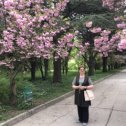Фотография "Симферополь. Воронцовский парк. Цветение Сакуры.14 апреля"
