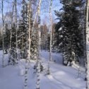 Фотография "Ещё зима, но в воздухе уже витает весна: три дня до весны.... "