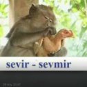 Фотография "sevir sevmir"