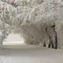 Фотография от Лина Лебедева