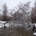 Фотография от Ольга Пшенникова