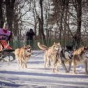 Фотография от Оксана Лаврентьева