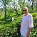 Фотография "Чайная плантация на Шри - Ланка ."