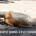 Фотография "Не забудьте раздать пехотинцам стимулятор "Берсерк" перед боем! http://www.odnoklassniki.ru/game/crisis?sm_type=viral&sm_st1=photo&sm_st2=cat_2"