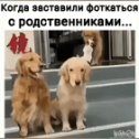 Фотография от Надя Нецветаева