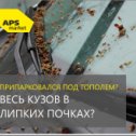 Фотография от APS Market Барнаул-Новосибирск