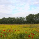 Фотография от Любовь Войводич (Васильева)