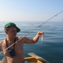 Фотография "Морская рыбалка на крючке ставридка"