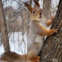 Фотография от Алла Храмова (Косяк)