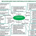 Фотография от Гулмира Мамыргазиева