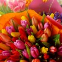 Фотография "Краски Весны.Обожаю тюльпаны..."