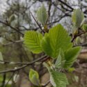 Фотография от Галина Варфоломей (Васильева)