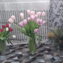 Фотография "Цветы на 8 марта "