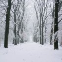 Фотография от Сергей Проскудин