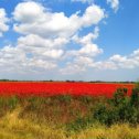 Фотография от ЕЛЕНА ЦУРКАН(МАСАЛЫКИНА)