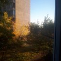 Фотография "А из нашего окна  осень  желтая  видна."