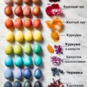 Фотография "Красим яйца натуральными красителями, только добавьте уксус, чтобы закрепить цвет"