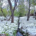 Фотография от Юлия Пазухина Родина Глухова