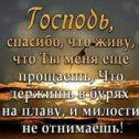 Фотография от Василий Толкачев