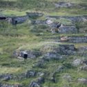 Фотография "РАЗВАЛИнные е село  Гмотви..Месхети КОГДА то здесь жилы Месхетинцы.."