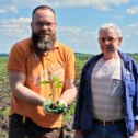 Фотография "Топинамбур.
Липецкая область, Данковский район.
08.06.2022"