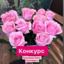 Фотография от Александр Колпаков Цветы