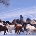 Фотография от сергей кузьмин