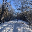 Фотография от ВОРОНКОВА АННА ВЕРБИЦКАЯ АННА