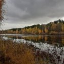 Фотография "Осень золотая. Недалеко от Екатеринбурга."