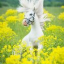 Фотография от Марина Герваси