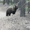 Фотография от Леонид Рочев