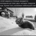 Фотография "#getanimal #поможемживотнымвместе #животныевдобрыеруки #животныевдар"