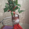 Фотография "27 лет - свадьба красного дерева. Подарок от мужа, сюрприз."