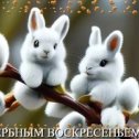 Фотография "Веточка вербы, символ Весны - Символ здоровья, Веры, Любви!"