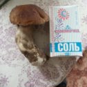 Фотография "Мой первый гриб  в этом году"