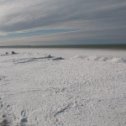 Фотография "Балтийское море зимой."