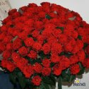 Фотография от ღԵՐԱԶԱՆՔღ ԾԱՂԻԿՆԵՐԻ ՍՐԱՀღFLOWERSღ