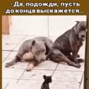 Фотография от ✁АннА Смирнова Парикмахер✁