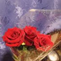 Фотография "Мой любимый, человек опять привез розы ,даже не знала."